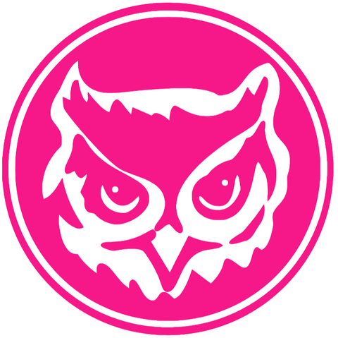 Kennesaw State Owls Hot Pink Retro Throwback Logo Premium DieCut Vinyl Decal PICK SIZE