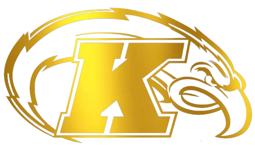 Kent State Golden Flashes GOLD CHROME MIRROR Team Logo Premium DieCut Vinyl Decal PICK SIZE