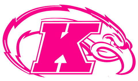 Kent State Golden Flashes Hot Pink Team Logo Premium DieCut Vinyl Decal PICK SIZE