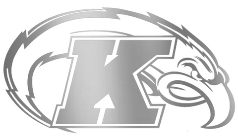 Kent State Golden Flashes SILVER CHROME MIRROR Team Logo Premium DieCut Vinyl Decal PICK SIZE