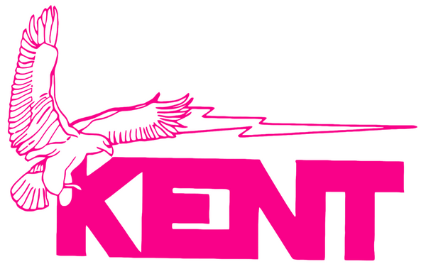Kent State Golden Flashes Hot Pink Retro Throwback Logo Premium DieCut Vinyl Decal PICK SIZE