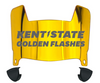 Kent State Golden Flashes Mini Football Helmet Visor Shield w/ Clips - PICK VISOR & LOGO COLOR