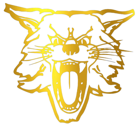Kentucky Wildcats GOLD CHROME MIRROR Retro Throwback Logo Premium DieCut Vinyl Decal PICK SIZE