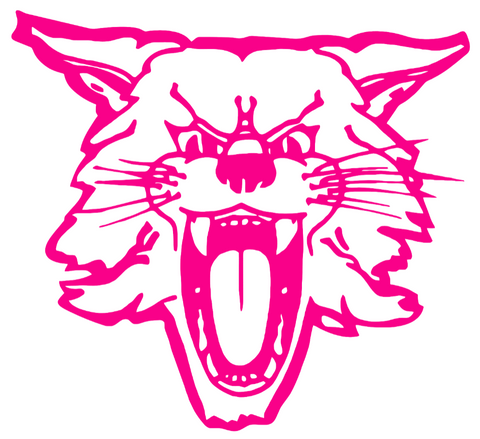 Kentucky Wildcats Hot Pink Retro Throwback Logo Premium DieCut Vinyl Decal PICK SIZE