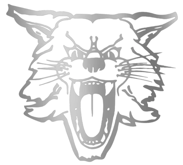 Kentucky Wildcats SILVER CHROME MIRROR Retro Throwback Logo Premium DieCut Vinyl Decal PICK SIZE