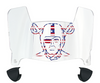 Oakland Raiders Limited Edition Mini Football Helmet Visor Shield w/ Clips - PICK VISOR & LOGO COLOR
