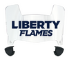 Liberty Flames Mini Football Helmet Visor Shield w/ Clips - PICK VISOR & LOGO COLOR