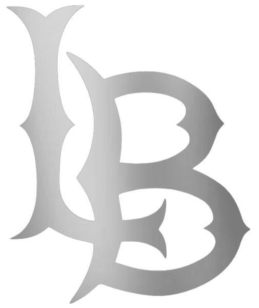 Long Beach State 49ers SILVER CHROME MIRROR Team Logo Premium DieCut Vinyl Decal PICK SIZE