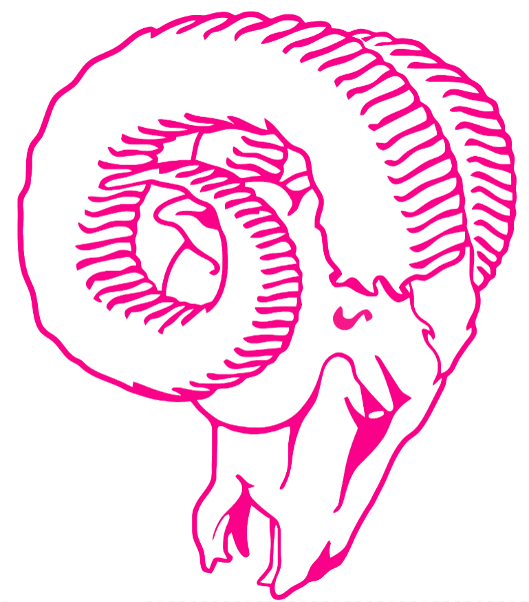 Los Angeles Rams Hot Pink Retro Throwback Logo Premium DieCut Vinyl Decal PICK SIZE