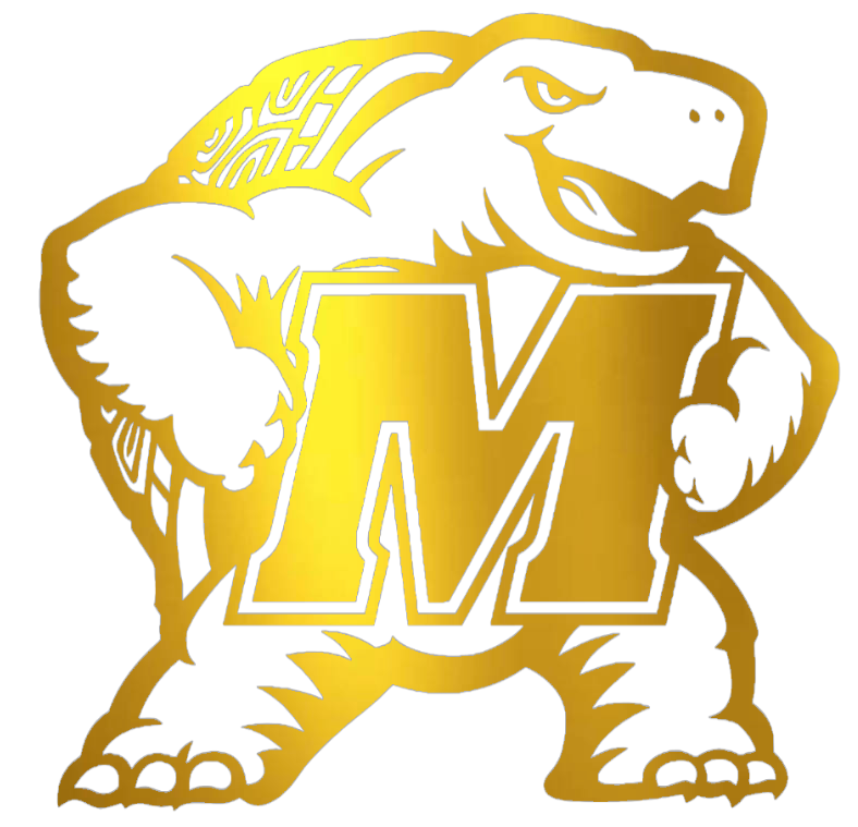 Maryland Terrapins GOLD CHROME MIRROR Mascot Logo Premium DieCut Vinyl Decal PICK SIZE