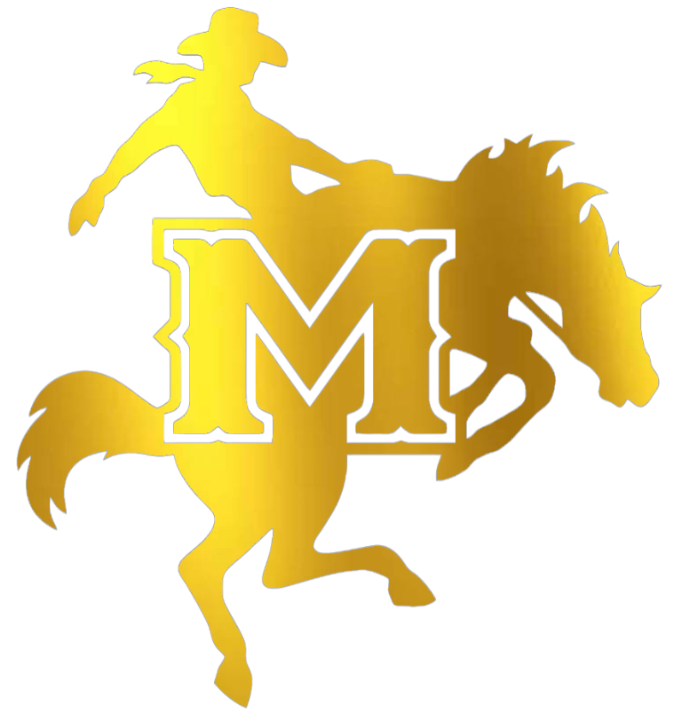 McNeese State Cowboys GOLD CHROME MIRROR Team Logo Premium DieCut Vinyl Decal PICK SIZE