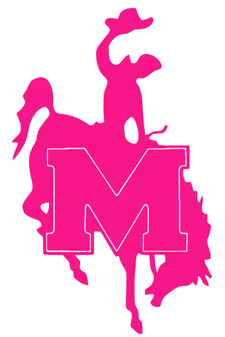 McNeese State Cowboys Hot Pink Retro Throwback Logo Premium DieCut Vinyl Decal PICK SIZE
