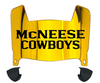 McNeese State Cowboys Mini Football Helmet Visor Shield w/ Clips - PICK VISOR & LOGO COLOR