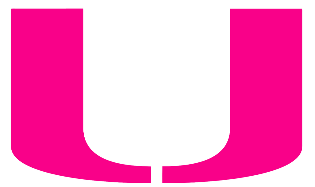 Miami Hurricanes Hot Pink Team Logo Premium DieCut Vinyl Decal PICK SIZE