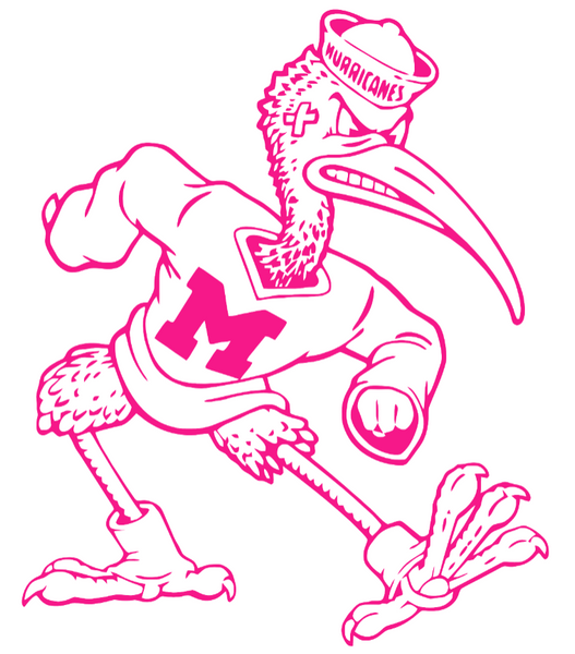 Miami Hurricanes Hot Pink Retro Throwback Logo Premium DieCut Vinyl Decal PICK SIZE