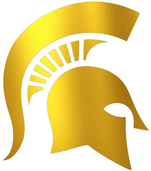 Michigan State Spartans GOLD CHROME MIRROR Alternate Logo Premium DieCut Vinyl Decal PICK SIZE