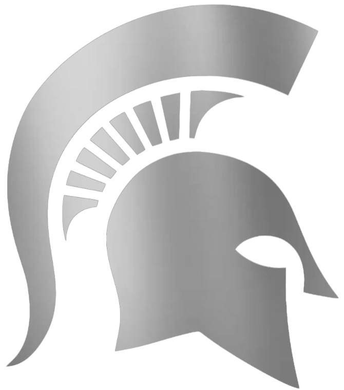 Michigan State Spartans SILVER CHROME MIRROR Alternate Logo Premium DieCut Vinyl Decal PICK SIZE