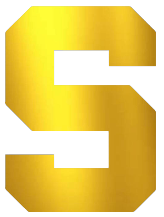Michigan State Spartans GOLD CHROME MIRROR Team Logo Premium DieCut Vinyl Decal PICK SIZE