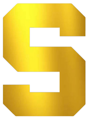 Michigan State Spartans GOLD CHROME MIRROR Team Logo Premium DieCut Vinyl Decal PICK SIZE