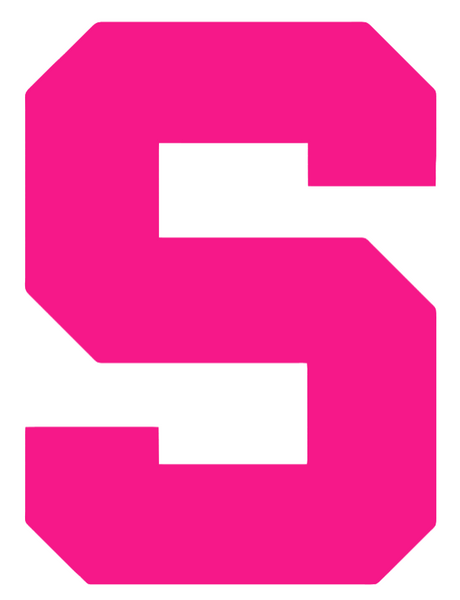 Michigan State Spartans Hot Pink Team Logo Premium DieCut Vinyl Decal PICK SIZE