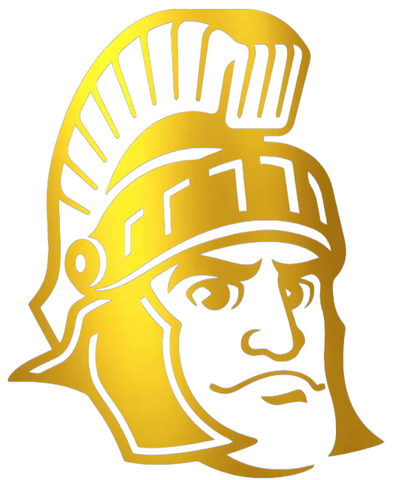 Michigan State Spartans GOLD CHROME MIRROR Sparty Mascot Logo Premium DieCut Vinyl Decal PICK SIZE