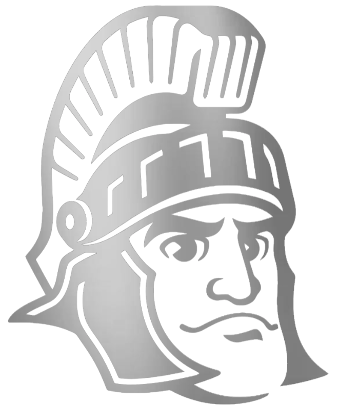 Michigan State Spartans SILVER CHROME MIRROR Sparty Mascot Logo Premium DieCut Vinyl Decal PICK SIZE