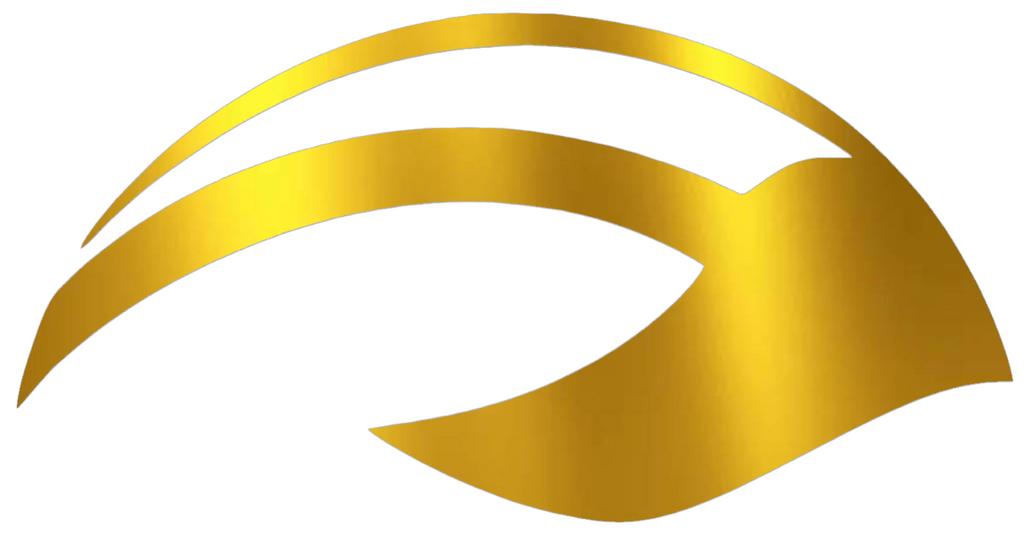 Michigan Wolverines GOLD CHROME MIRROR Wings Football Helmet Logo Premium DieCut Vinyl Decal PICK SIZE