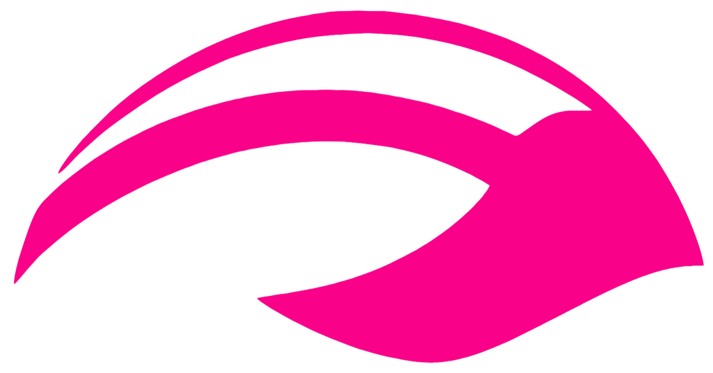 Michigan Wolverines Hot Pink Wings Football Helmet Logo Premium DieCut Vinyl Decal PICK SIZE