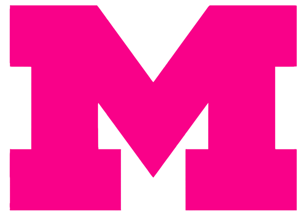 Michigan Wolverines Hot Pink Team Logo Premium DieCut Vinyl Decal PICK SIZE