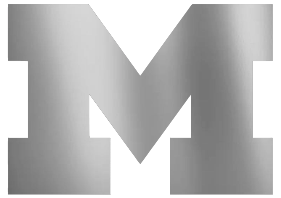 Michigan Wolverines SILVER CHROME MIRROR Team Logo Premium DieCut Vinyl Decal PICK SIZE