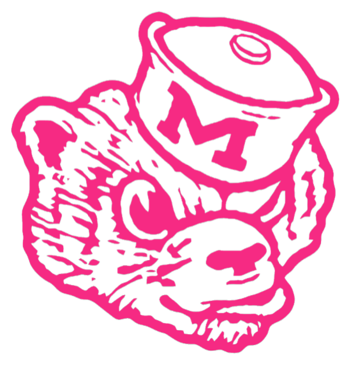 Michigan Wolverines HOT PINK Retro Throwback Logo Premium DieCut Vinyl Decal PICK SIZE