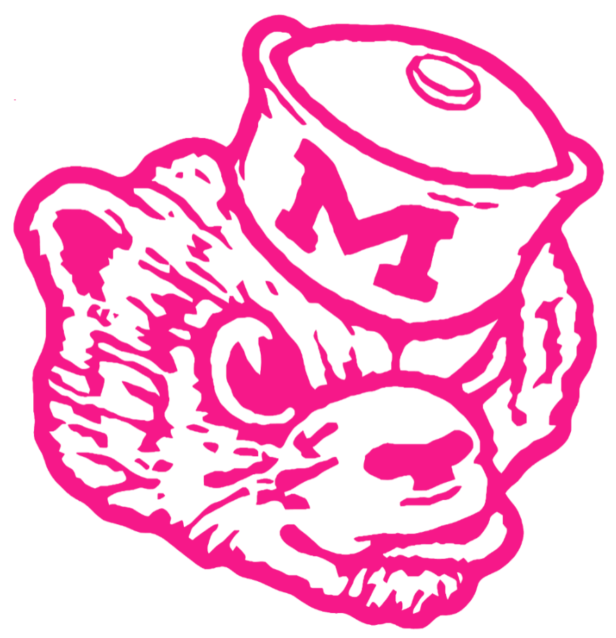 Michigan Wolverines Hot Pink Retro Throwback Logo Premium DieCut Vinyl Decal PICK SIZE