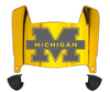 Michigan Wolverines Mini Football Helmet Visor Shield w/ Clips - PICK VISOR & LOGO COLOR