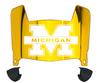 Michigan Wolverines Mini Football Helmet Visor Shield w/ Clips - PICK VISOR & LOGO COLOR