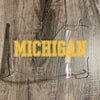 Michigan Wolverines Full Size Football Helmet Visor Shield w/ Clips - PICK VISOR & LOGO COLOR