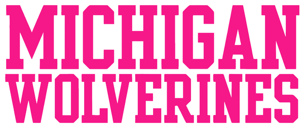 Michigan Wolverines Hot Pink Team Name Logo Premium DieCut Vinyl Decal PICK SIZE