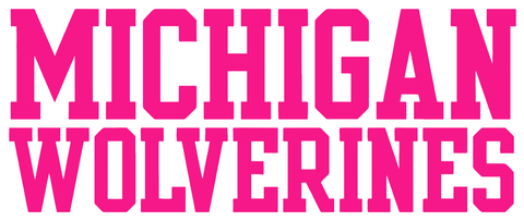 Michigan Wolverines Hot Pink Team Name Logo Premium DieCut Vinyl Decal PICK SIZE
