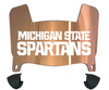 Michigan State Spartans Mini Football Helmet Visor Shield w/ Clips - PICK VISOR & LOGO COLOR