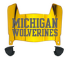 Michigan Wolverines Mini Football Helmet Visor Shield w/ Clips - PICK VISOR & LOGO COLOR