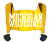 Michigan Wolverines Mini Football Helmet Visor Shield w/ Clips - PICK VISOR & LOGO COLOR