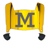 Michigan Wolverines Mini Football Helmet Visor Shield w/ Clips - PICK VISOR & LOGO COLOR
