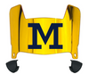 Michigan Wolverines Mini Football Helmet Visor Shield w/ Clips - PICK VISOR & LOGO COLOR