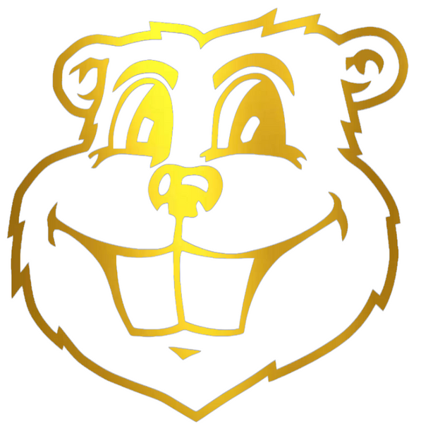 Minnesota Golden Gophers GOLD CHROME MIRROR Goldy Mascot Head Logo Premium DieCut Vinyl Decal PICK SIZE