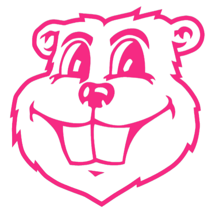 Minnesota Golden Gophers HOT PINK Goldy Mascot Head Logo Premium DieCut Vinyl Decal PICK SIZE