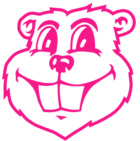 Minnesota Golden Gophers Hot Pink Goldy Mascot Head Logo Premium DieCut Vinyl Decal PICK SIZE