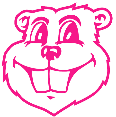 Minnesota Golden Gophers Hot Pink Goldy Mascot Head Logo Premium DieCut Vinyl Decal PICK SIZE