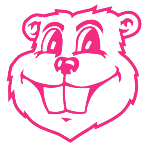 Minnesota Golden Gophers HOT PINK Goldy Mascot Head Logo Premium DieCut Vinyl Decal PICK SIZE