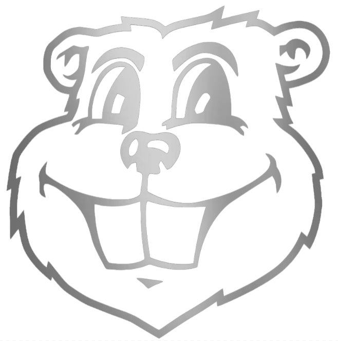 Minnesota Golden Gophers SILVER CHROME MIRROR Goldy Mascot Head Logo Premium DieCut Vinyl Decal PICK SIZE