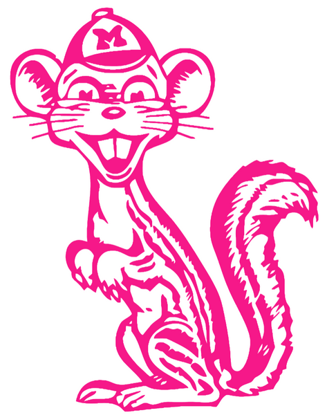 Minnesota Gophers Hot Pink Retro Throwback Logo Premium DieCut Vinyl Decal PICK SIZE