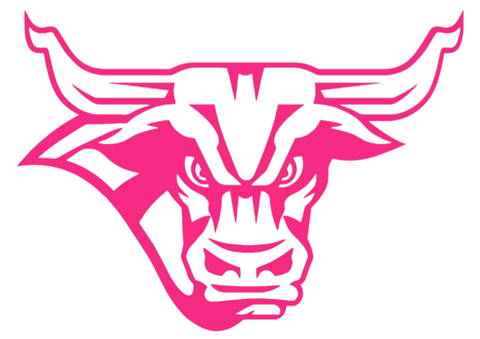 Minnesota State Mavericks HOT PINK Team Logo Premium DieCut Vinyl Decal PICK SIZE